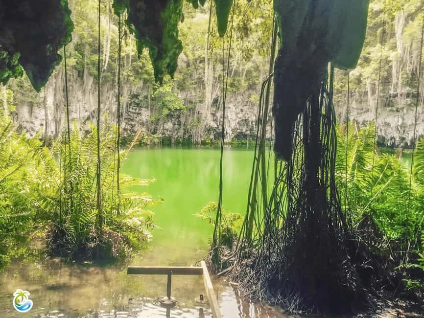 Punta Cana: Santo Domingo Private Day Trip with Lunch - The Overall Experience and Practicalities