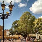 Punta Cana: Santo Domingo Tour with Lunch & Transfers - Practical Tips for Making the Most of the Tour