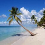 Punta Cana: Saona Island All-Inclusive Day Trip - Practical Details and Tips