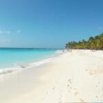 Punta Cana: Saona Island Catamaran Tour & Buffet Lunch - Deep Dive into the Itinerary