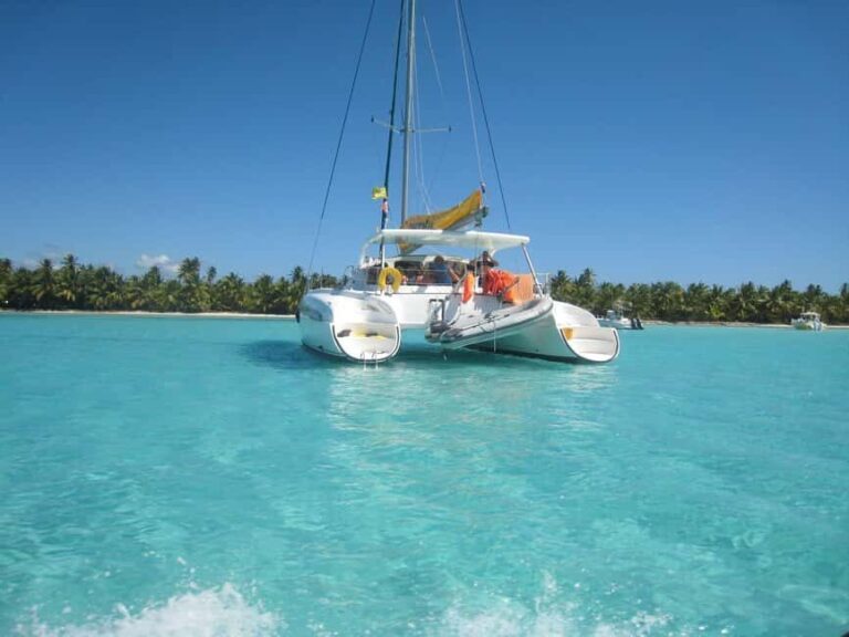 Punta Cana: Saona Island Day Tour and Catamaran Party - The Itinerary Breakdown: What Makes Each Stop Special
