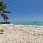 Punta Cana: Saona Island Speedboat Tour with Lunch - What to Know Before You Go