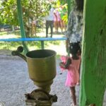 Punta cana scenic tour with lunch horses and cenote - Practical Details & Logistics