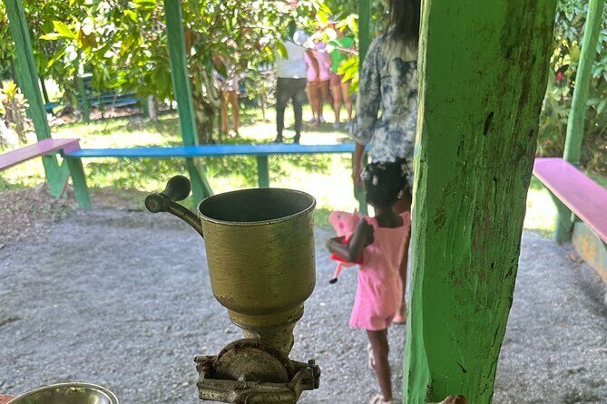 Punta cana scenic tour with lunch horses and cenote - Practical Details & Logistics