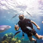 Punta Cana: Scuba Diving Adventure to Catalina Island - Beach Relaxation and Lunch