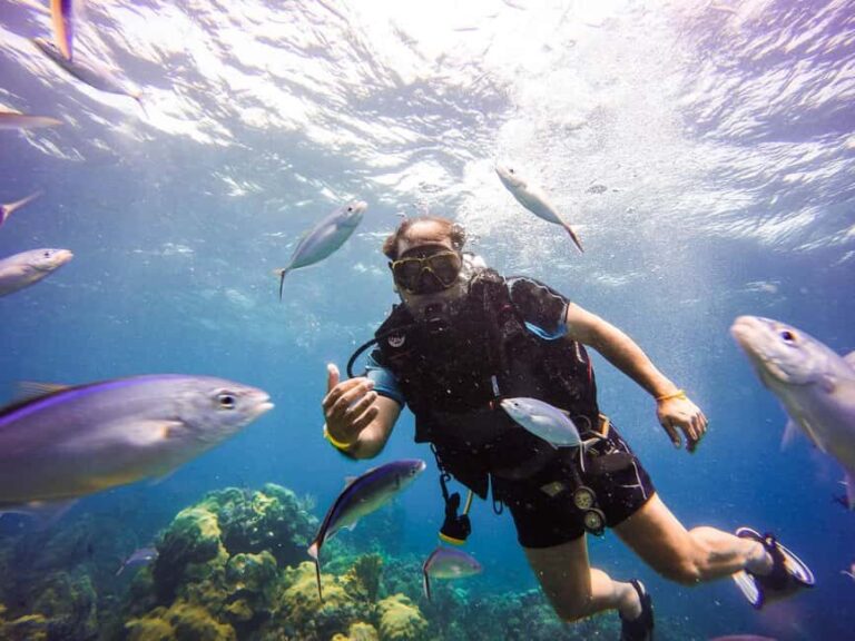 Punta Cana: Scuba Diving Adventure to Catalina Island - Beach Relaxation and Lunch