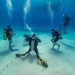 Punta Cana: Scuba Diving Catalina Island Cruise with Lunch - What Travelers Say