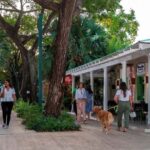 Punta Cana: Shopping Tour with Tastings and Hotel Pickup - The Shopping Experience