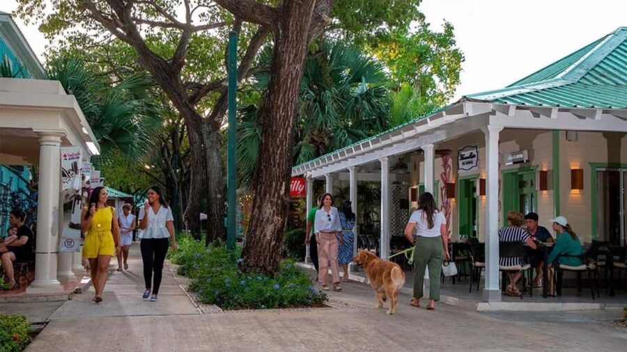 Punta Cana: Shopping Tour with Tastings and Hotel Pickup - The Shopping Experience