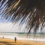 Punta Cana Surfing Experience: Surf in Dominican Republic - Practical Details on the Tour