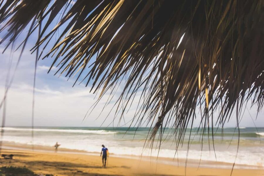 Punta Cana Surfing Experience: Surf in Dominican Republic - Practical Details on the Tour