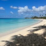 Punta Cana: Three Treasures of Saona - Palmilla, Pueblo & Canto de la playa - Practical Details and What to Expect