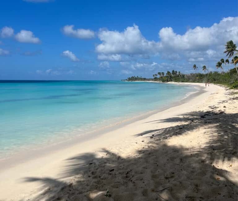 Punta Cana: Three Treasures of Saona - Palmilla, Pueblo & Canto de la playa - Practical Details and What to Expect