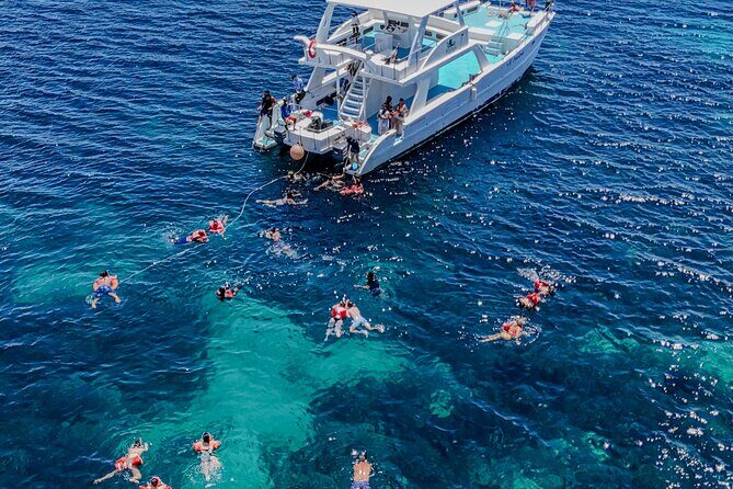 Punta Cana to Isla Catalina Day Tour on Catamaran - Practical Considerations and Tips