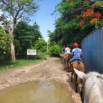 Punta Cana: Uvero Alto Beach Horseback Riding Tour - The Value of the Tour: What You Get for Your Money