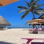 Punta Cana: Water Bike Tour with Snorkeling and Lunch - The Water Bike Adventure