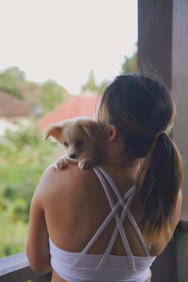 Puppy Yoga in Bali, Ubud & Uluwatu - Why Youll Love Puppy Yoga in Bali