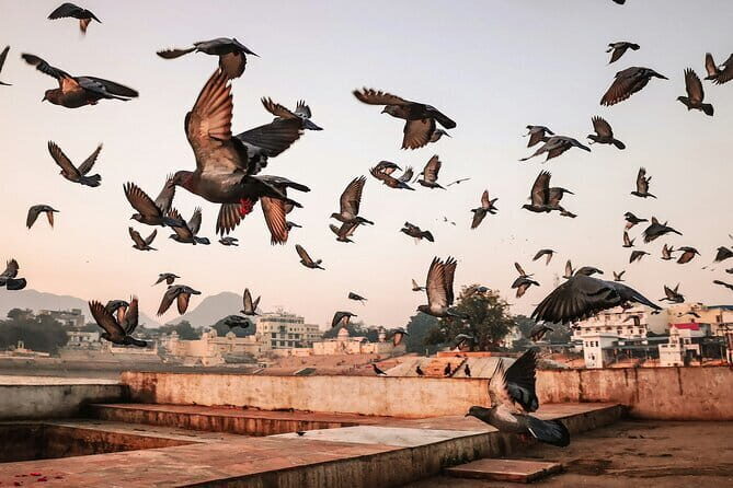 Pushkar: Private Guided day tour From Jaipur - The Experience: What Makes It Stand Out