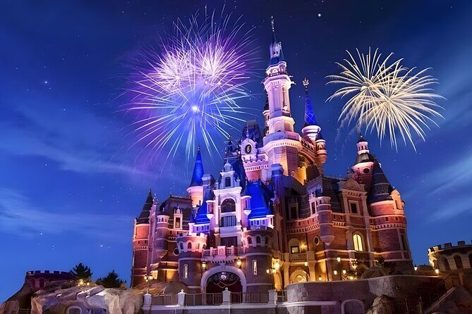 PVG Airport Private Transfer to or from Shanghai Disney Resort - Why This Transfer Fits Certain Travelers Best