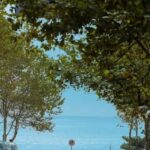 Qingdao: Badaguan Scenic Area Guided Walking Tour - Discovering Badaguan: A Walk Through Qingdao’s Charm