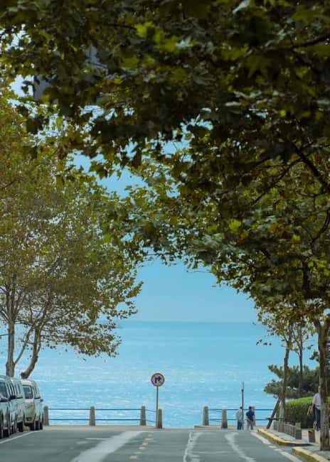 Qingdao: Badaguan Scenic Area Guided Walking Tour - Discovering Badaguan: A Walk Through Qingdao’s Charm