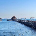 Qingdao: Offshore City Highlights with Fan Workshop & Market - What You’ll Love About This Tour
