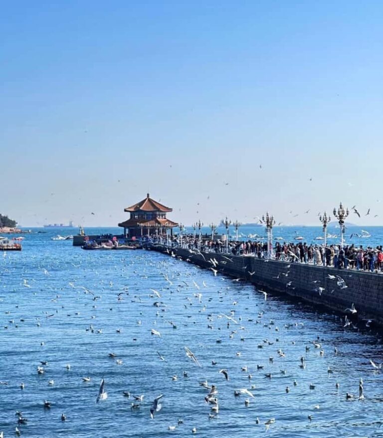 Qingdao: Offshore City Highlights with Fan Workshop & Market - What You’ll Love About This Tour  