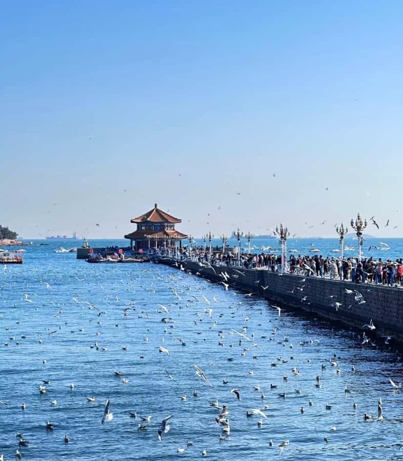 Qingdao: Offshore City Highlights with Fan Workshop & Market - What You’ll Love About This Tour  