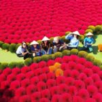 Quang Phu Cau Incense Village to Ninh Binh Small Group Day Tour - Practical Tips for Making the Most of This Tour