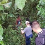 Quashie River Hiking in Cockpit Country Experience - What to Expect from the Quashie River Hiking Experience