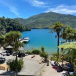 Queen Charlotte Sound: Lochmara Cruise and Explore 9-4 - The Experience in Detail