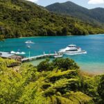 Queen Charlotte Track Self Guided Hike to Eatwells Lookout - Authentic Insights from Reviewers