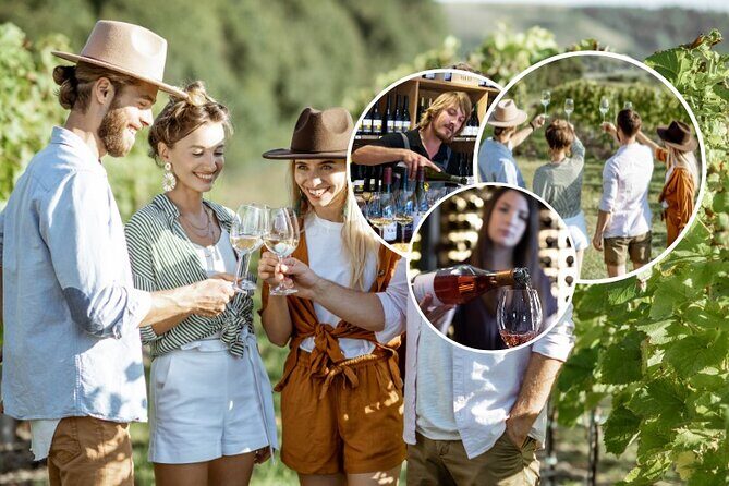 Queenstown Afternoon Wine Tour - Peregrine | Kinross | Amisfield - The Value of This Tour