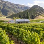 Queenstown, Arrowtown, Gibbston: Flexible Wine Hopper Tours - The Guide and Group Size
