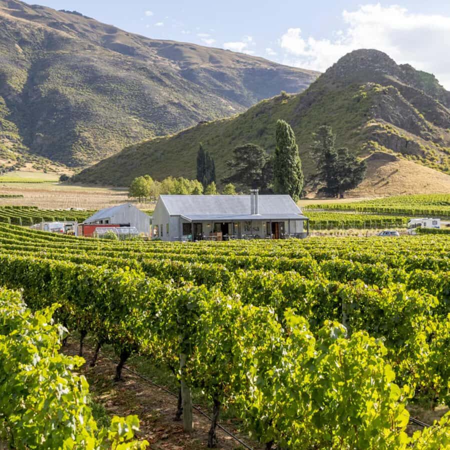 Queenstown, Arrowtown, Gibbston: Flexible Wine Hopper Tours - The Guide and Group Size