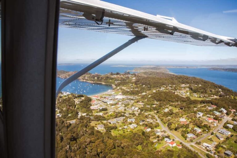 Queenstown: Day Trip to Stewart Island via Scenic Flight - The Highlights: Why Youll Love It