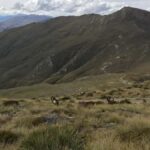 Queenstown Full-Day Trail Running Tour - What to Expect on the Trail