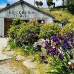 Queenstown More Than A Wine Tour (Private) - The Sum Up