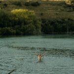 Queenstown Riverside Sauna and Cold Plunge Experience - Who Will Love This Experience?