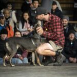 Queenstown: Walter Peak Farm Tour and Lake Cruise - The Value of This Experience