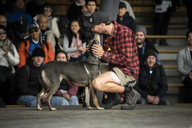 Queenstown: Walter Peak Farm Tour and Lake Cruise - The Value of This Experience