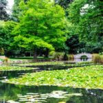 Queenstown Winter Private Walk: Enchanted Holiday Magic - The Queenstown Gardens