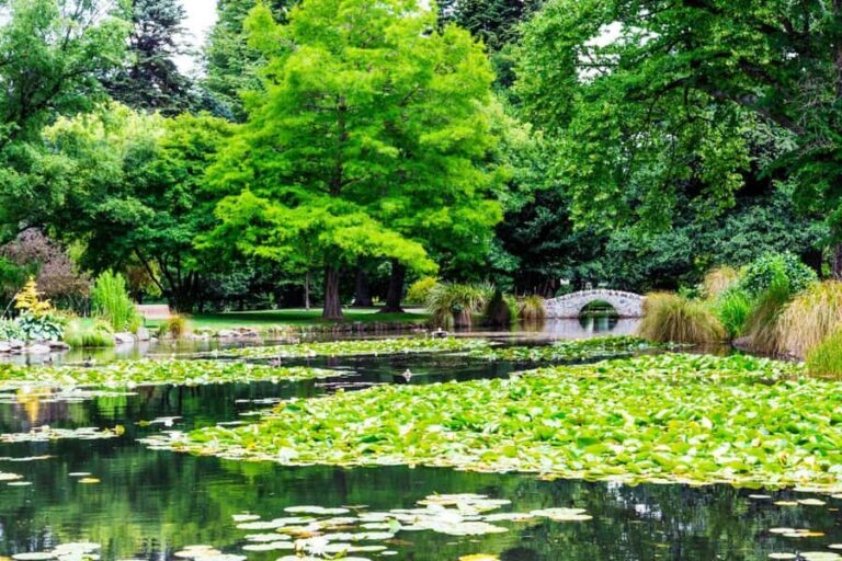 Queenstown Winter Private Walk: Enchanted Holiday Magic - The Queenstown Gardens