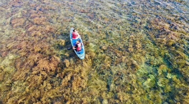 Quy Nhon Ky Co Beach, Eo Gio & Nhon Ly Village Full-Day Tour - What to Expect from This Tour