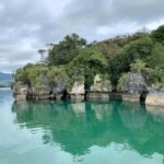 Raglan: Scenic Nature Boat Cruise - Why You’ll Love This Experience
