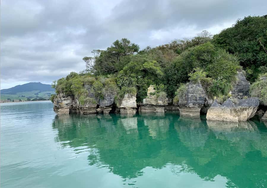 Raglan: Scenic Nature Boat Cruise - Why You’ll Love This Experience