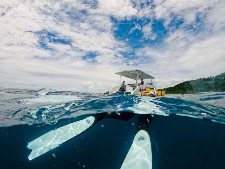 Railay: AIDA 1 or 2 Days Discover Freediving Courses - Why Choose This Freediving Course?