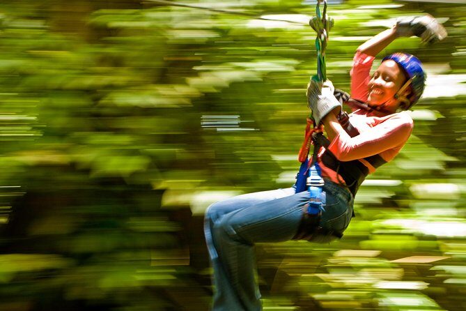 Rainforest Canopy Adventure from Vieux Fort or North Island, St Lucia - Practical Tips for Your Zipline Adventure