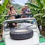 Rainforest Hike & Waterfall Safari St. Lucia From Castries - Why This Tour Works for Different Travelers