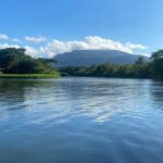 Rainforest Kayak Tour - Why It’s a Great Choice